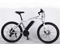 Rothar Mountain Electric 21 Luas Giar